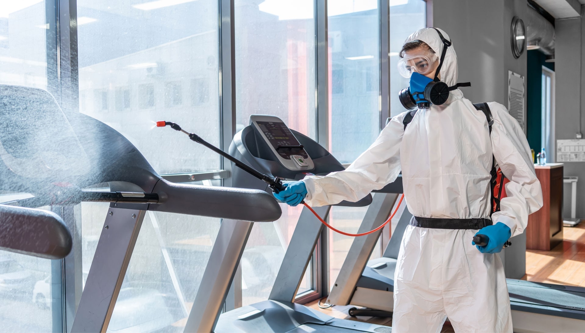 Commercial Mold Removal Services in Toledo