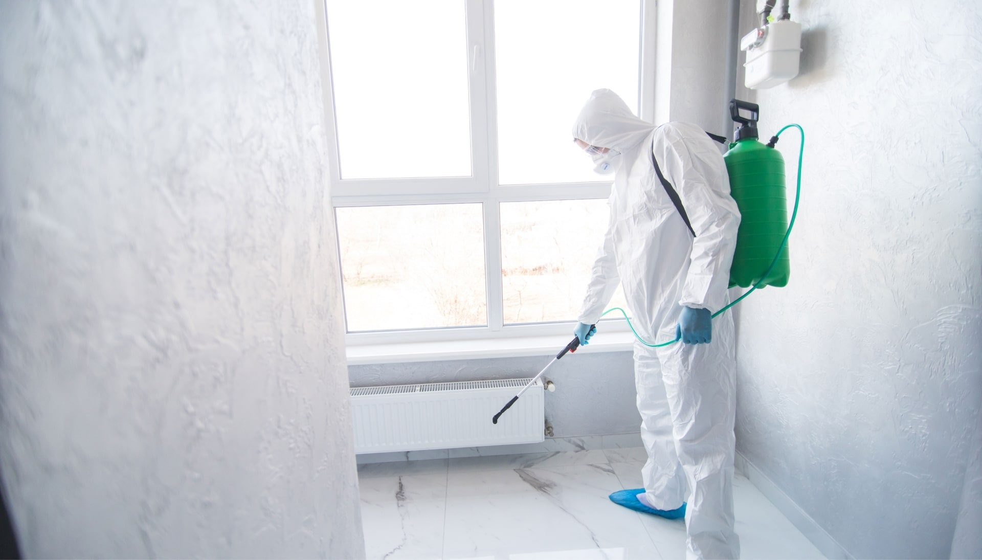 Mold Inspection Services in Toledo